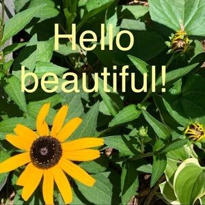 🌼🌼 Welcome! 🌼🌼